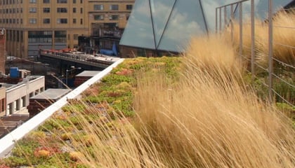 Green Roof